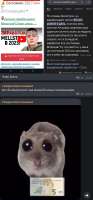 423x906