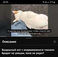 1080x1071