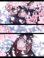 564x742