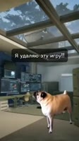 360x640