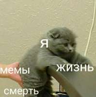 744x748