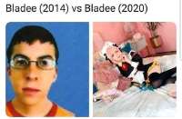 540x356