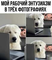 824x944