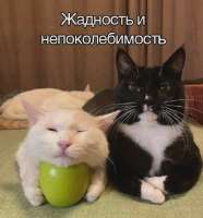 632x678