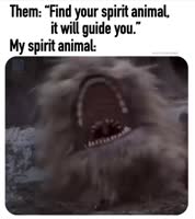 360x404