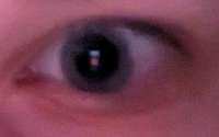 430x270