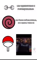 528x848