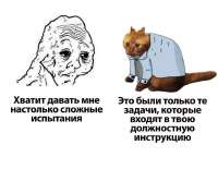 960x744