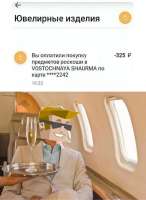 590x807