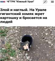 976x1080