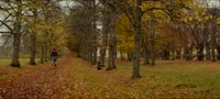 1920x872