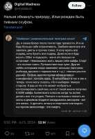 590x857