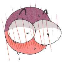 900x900