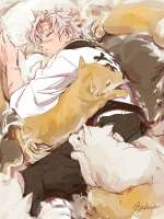 736x981