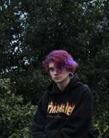 735x919
