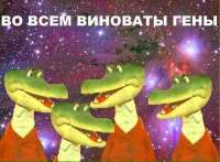 600x442