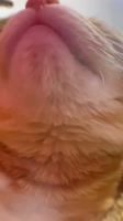 1080x1920