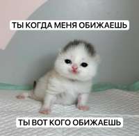 1280x1259