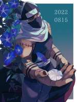 736x981
