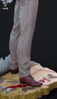 576x988
