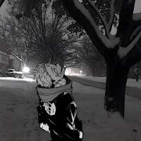 736x736