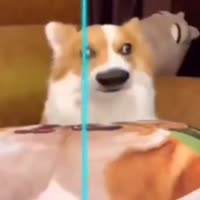 360x360