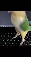 576x1024