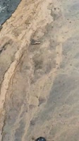 576x1024