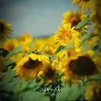 360x360