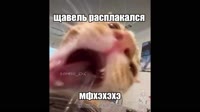 1280x720