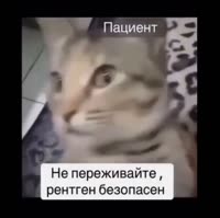 530x528