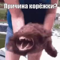 320x320