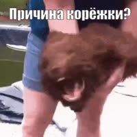 320x320