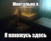 600x480