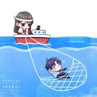 736x736