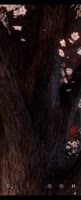 480x1174