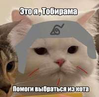 719x708
