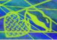 113x81