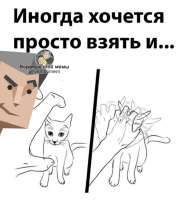 736x783
