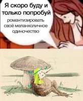 735x891