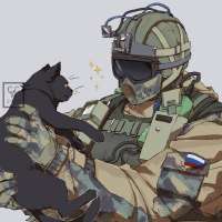 736x736