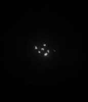 576x666