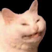 320x320