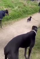 360x524