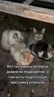 360x640
