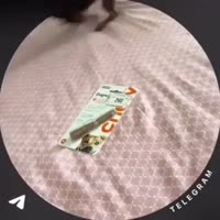 720x720