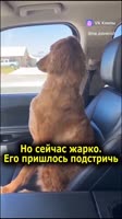 406x720
