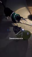 360x640
