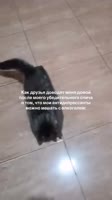 360x640