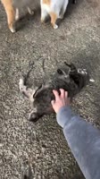 360x640